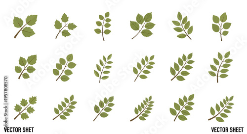 Collection of various green leaf shapes.