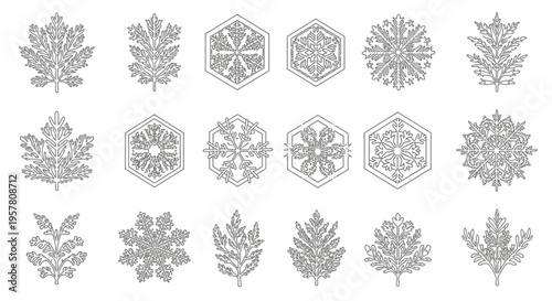 Collection of various snowflake designs.