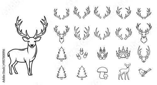 Deer with large antlers standing still.