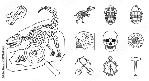 Dinosaur Fossil Skeleton Bones Drawing.