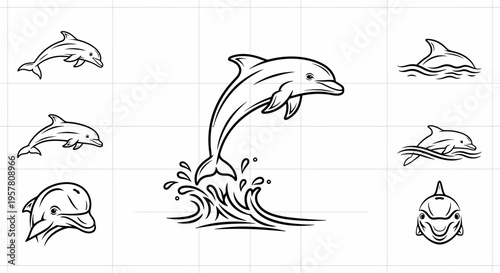 Dolphin jumping out of water illustration.