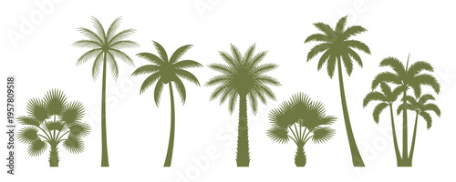 Group of palm tree silhouettes in different shapes and sizes, green monochrome illustration for tropical themes