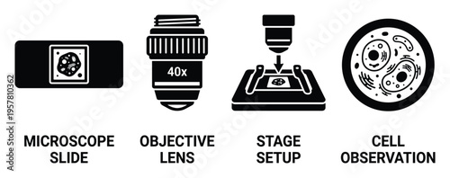 Microscope equipment and biological cell observation infographic elements