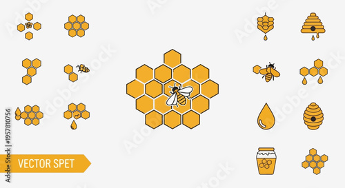 Illustration of honeycomb and bees.