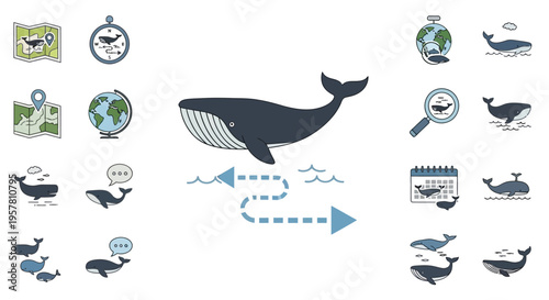 Large whale in the ocean water.