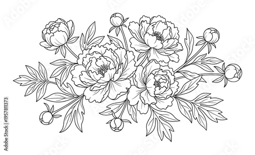 Outline bouquet of peonies with buds and leaves in elegant style, vector drawing for design and decoration