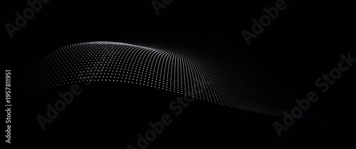 A black and white image with a textured pattern