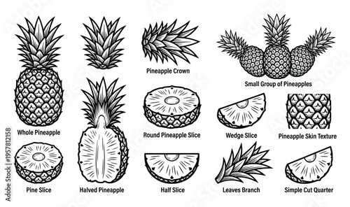 Set of black and white pineapple illustration for summer food and tropical fruit collection