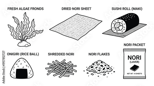 Set of nori products, including fresh algae fronds, dried sheet, sushi roll, onigiri, shredded, flakes, and packet