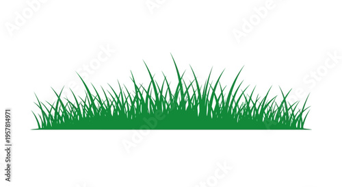 Green Grass Silhouette Border Illustration Isolated on White Background