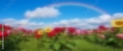 Spring Nature Blossom Flowers Outdoor Scene