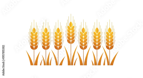 Golden Wheat Stalks and Grain Ears Vector Illustration Isolated on White Background - Ideal for Agriculture, Bakery, Organic Food, and Harvest Season Graphic Design Elements
