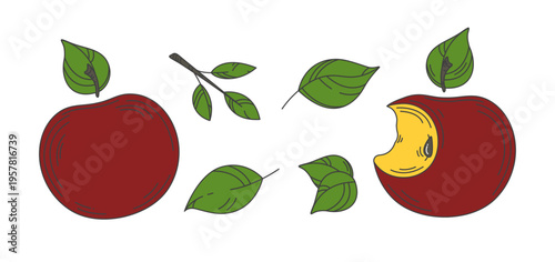 Vector apples icons set. Big bright red bitten fruit sign, many leaves. Simple graphic food element. Outline drawing. Healthy snack. Organic agriculture. Kids sticker pack collection. Editable contour