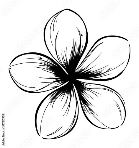 A minimalist black and white hand-drawn sketch of a single Plumeria frangipani flower featuring elegant line art and artistic shading on a white background. Perfect for tropical botanical designs.