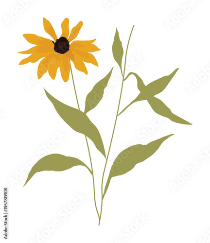 Stylized Black-Eyed Susan flower illustration with bright yellow petals and green foliage