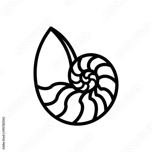 Black line art nautilus shell drawing.
