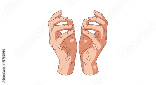 Wallpaper Mural Two cartoon hands reaching upwards isolated on white background vector graphic Torontodigital.ca