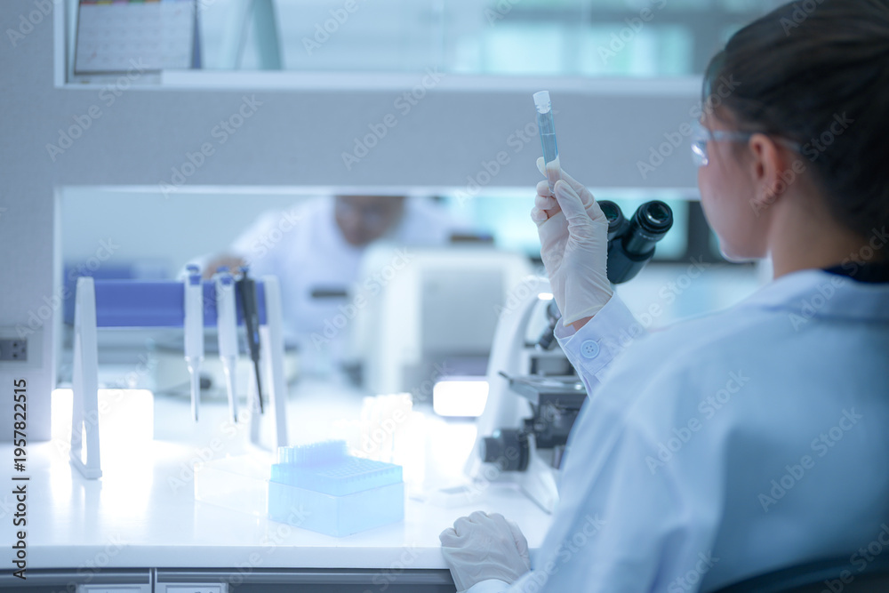 Fototapeta premium Focused female scientist holding a test tube to check the clear liquid sample in a modern sterile laboratory. Professional researcher analyzing chemical data for medical vaccine development.