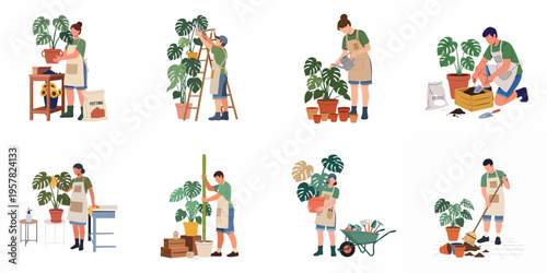 Vector illustrations of people engaged in various indoor gardening tasks including potting, watering, pruning, and cleaning Monstera deliciosa houseplants in flat design style.