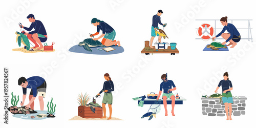 Set of Illustrations Showing Marine Biologists and Researchers Caring For, Measuring, and Tagging Sea Turtles for Conservation and Scientific Study.