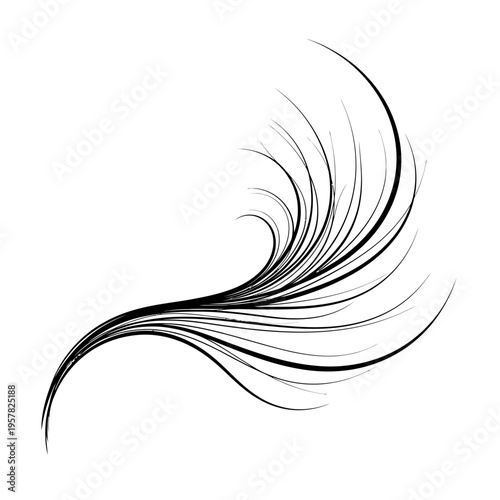 Eyelash extensions close up view.