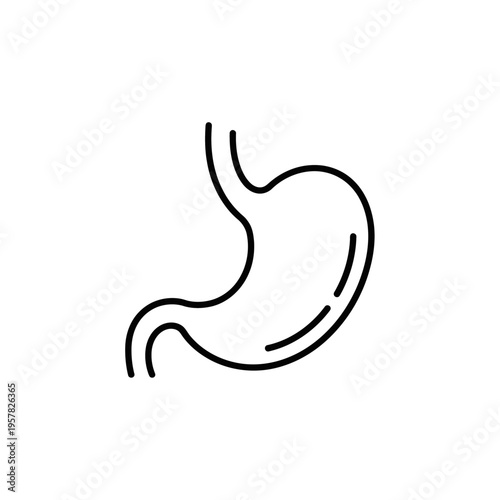 Simple line art illustration of the human stomach, medical concept.