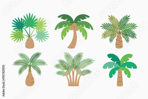 Tropical palm and fan tree collection with various island plants flat vector illustration