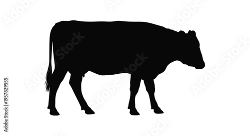 A striking black silhouette of a cow standing in a field silhouette