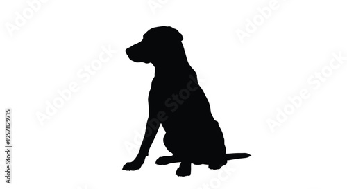 A black silhouette of a labrador retriever sitting calmly