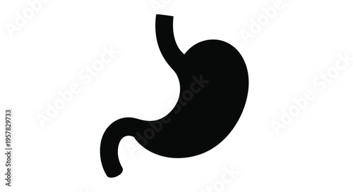 A black silhouette of a human stomach anatomical illustration silhouette