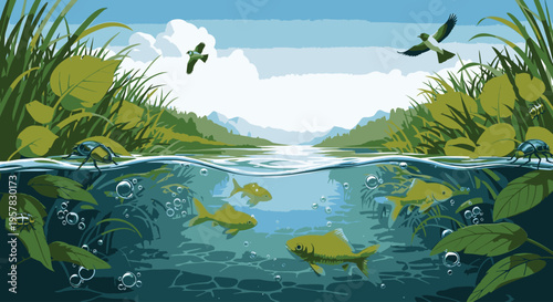Illustration of a serene aquatic ecosystem with fish swimming underwater and birds flying above surrounded by lush greenery and a clear blue sky.