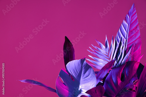 Different neon tropical lea...