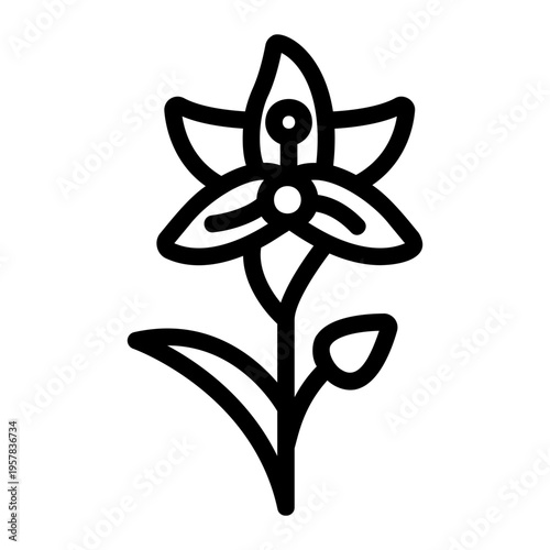 Lily flower Line Icon