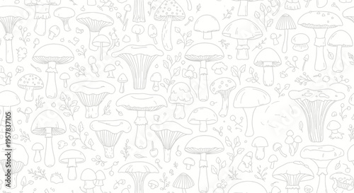Monochrome illustration of various mushroom types on white background