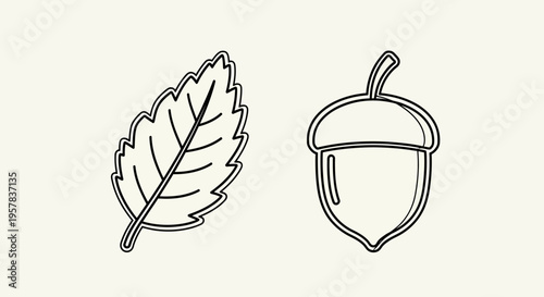Outlined leaf and acorn on neutral background autumnal nature illustration