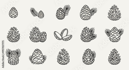 Pine cones and needles illustration set on beige background