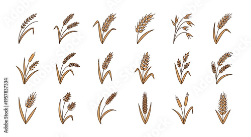 Wheat and grain icons set for agriculture and harvest design elements