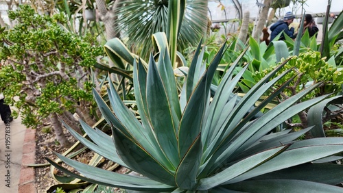 Canvas Print Centennial Park Conservatory in Toronto displays unique tropical plants