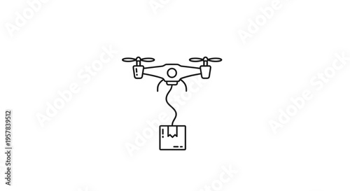 Drone Delivering a Package