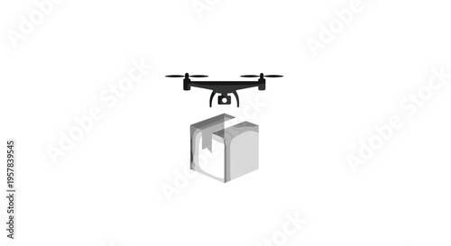 Drone Delivering Package