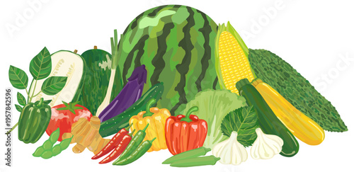 夏野菜の集合イラスト ベクター素材