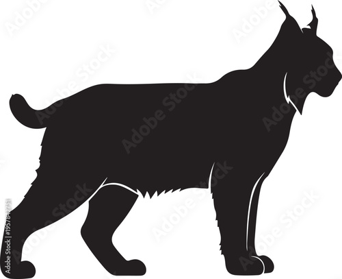 Black vector Great Dane dog silhouette