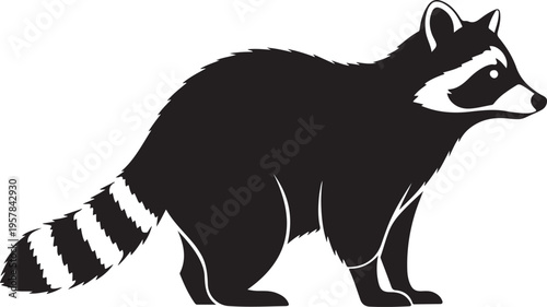 Vector racoon icon, black and white illustration