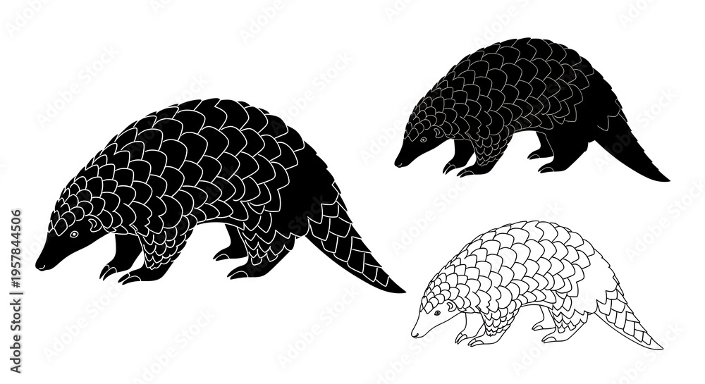 Obraz premium Three pangolin illustrations in black and white isolated on white background