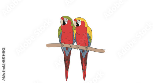 Two colorful parrots sitting together.