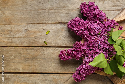 Tray with blooming lilac fl...