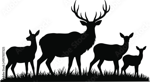 PrintDeer family silhouette, stag antlers, doe fawns, wildlife vector, grass scene, nature artwork, outdoor illustration, forest animals, natural design, countryside concept