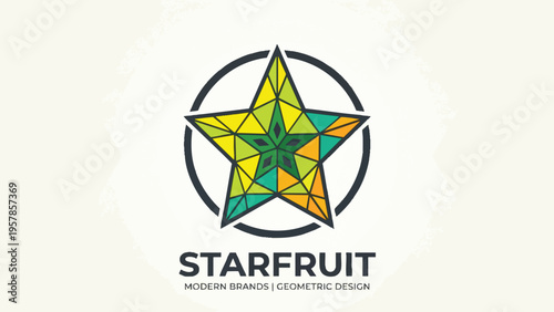 Geometric Star Logo Design | Modern Abstract Corporate Branding Icon