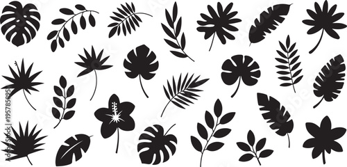 Tropical leaves and flowers silhouettes collection, lush jungle foliage and exotic plants set, natural elements flat vector illustration