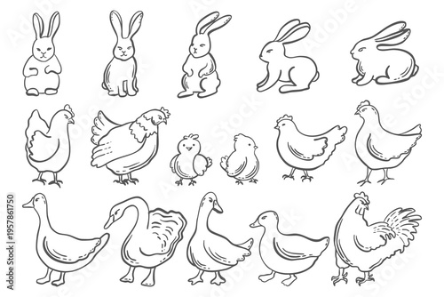 Set of farm animals and birds vector graphics illustration for animals designs. Whimsical hand drawn isolated rabbits and goats, chickens and goose, duck and swan. Black and white line art of pets.